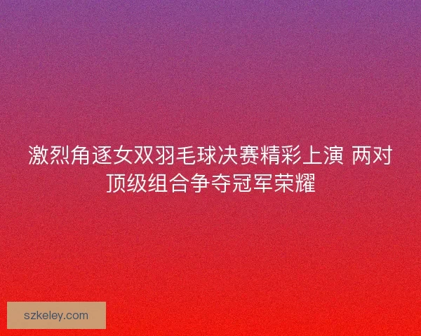 激烈角逐女双羽毛球决赛精彩上演 两对顶级组合争夺冠军荣耀